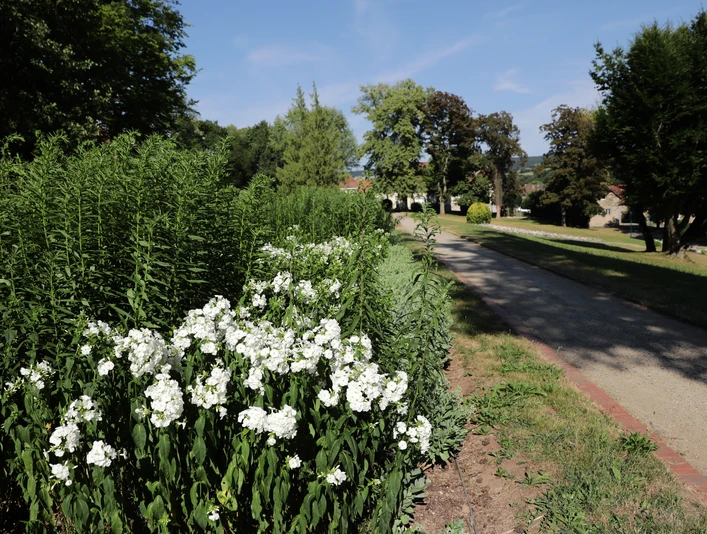 031HR - Gersfeld -Schlosspark.jpg