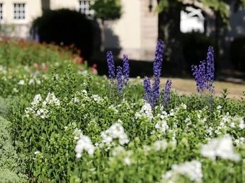 034HR - Gersfeld - Schlosspark.JPG