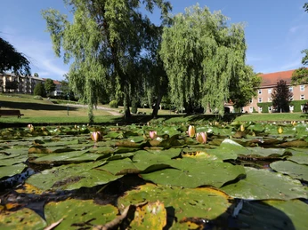 039HR - Gersfeld - Schlosspark Seerosenteich.JPG