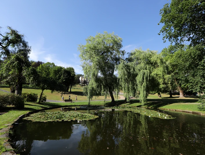 042HR - Gersfeld - Schlosspark Seerosenteich.JPG