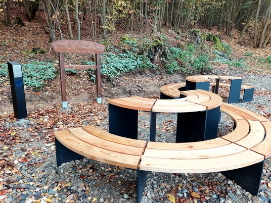 Geschwungene Holzbänke und eine Infotafel unter herbstlichen Bäumen bieten entspannte Landschaftssicht.