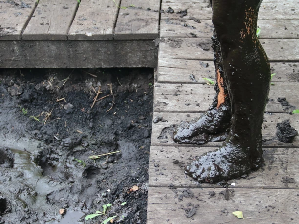 Moortreten binary comment