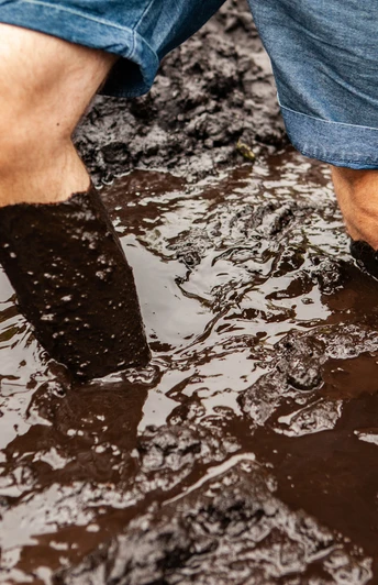 Moortretbecken Ein Mann watet knietief im braunen Moortretbecken, umgeben von dunklem, feuchtem Torf.