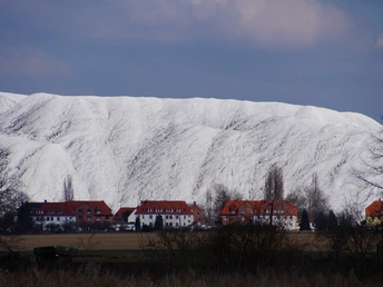Kalimandscharo Giesen am Hi-Ring