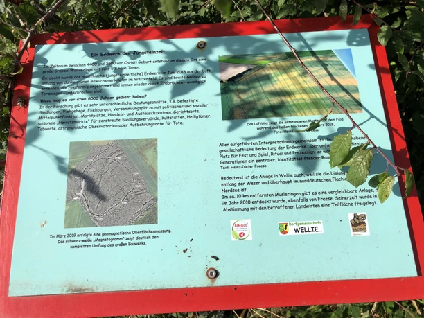 Informationstafel über das Erdwerk Wellie mit Texten, Grafiken und historischen Abbildungen.