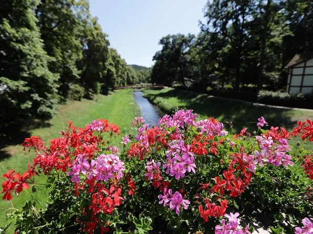 039HR - Bad Salzschlirf - Kurpark.JPG
