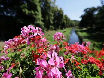 043HR - Bad Salzschlirf - Kurpark.JPG