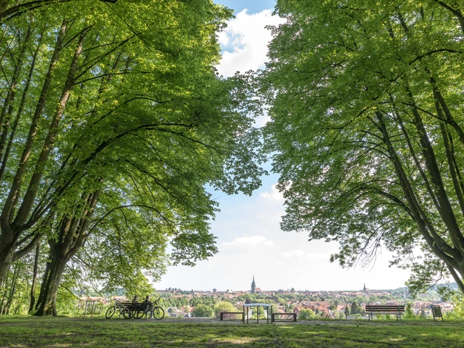 Welterbeblick Hildesheim