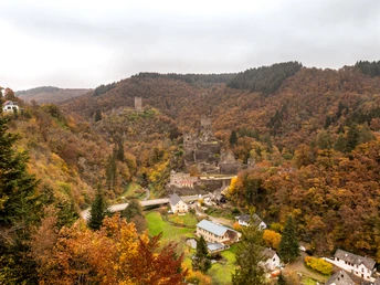 Blick auf die Manderscheider Burgen