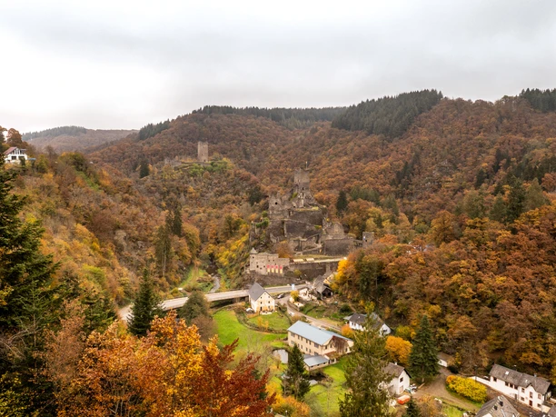 Blick auf die Manderscheider Burgen