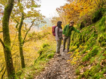 Schmale felsige Pfade auf Eifelsteig-Etappe 12