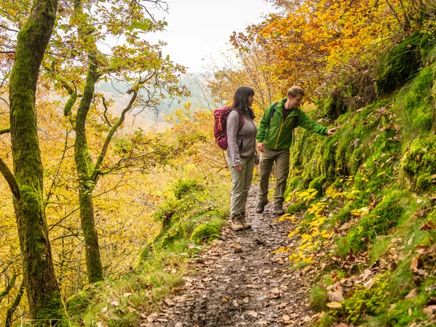 Schmale felsige Pfade auf Eifelsteig-Etappe 12