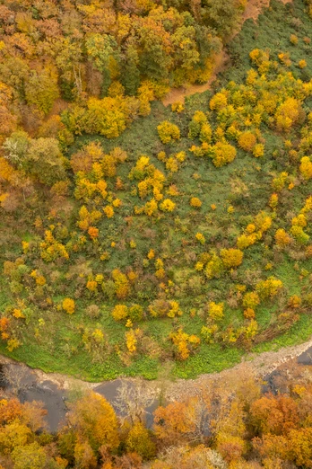 Die Lieser windet sich durch die Landschaft auf der Eifelsteig-Etappe 12