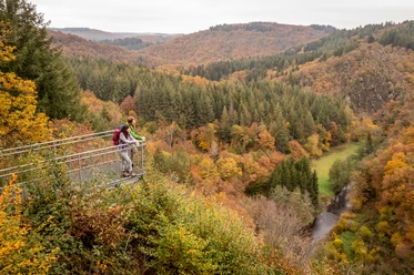 Blick ins Liesertal vom Burgberg bei Karl, Eifelsteig-Etappe 12