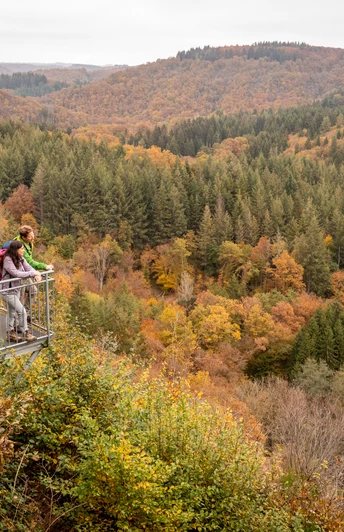 Blick ins Liesertal vom Burgberg bei Karl, Eifelsteig-Etappe 12