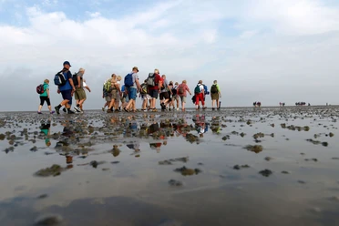 Wattführung - 2016.07.23 - 07.40.00.jpg