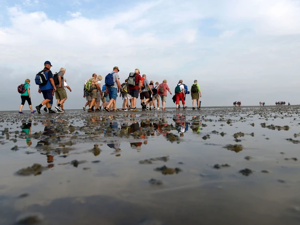 Wattführung - 2016.07.23 - 07.40.00.jpg