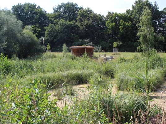 Grüne Moorlandschaft mit Schilf und Bäumen, im Hintergrund eine Holzhütte und Sitzbänke.
