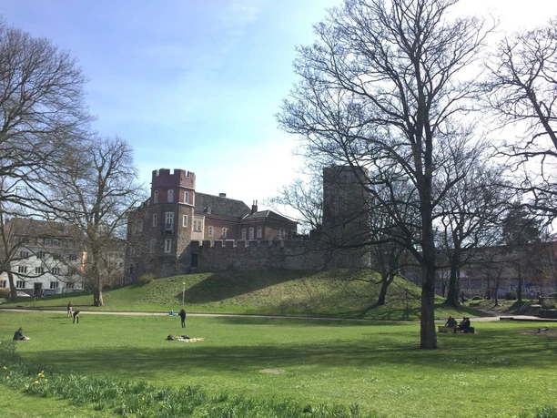 Die Burg Frankenberg auf einer Anhöhe, umgeben von einem idyllischen Park mit Bäumen, auf dem im Vordergrund mehrere Menschen die sonnige Atmosphäre genießen.
