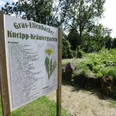 047HR - Grasellenbach - Kneipp-Kräutergarten.JPG