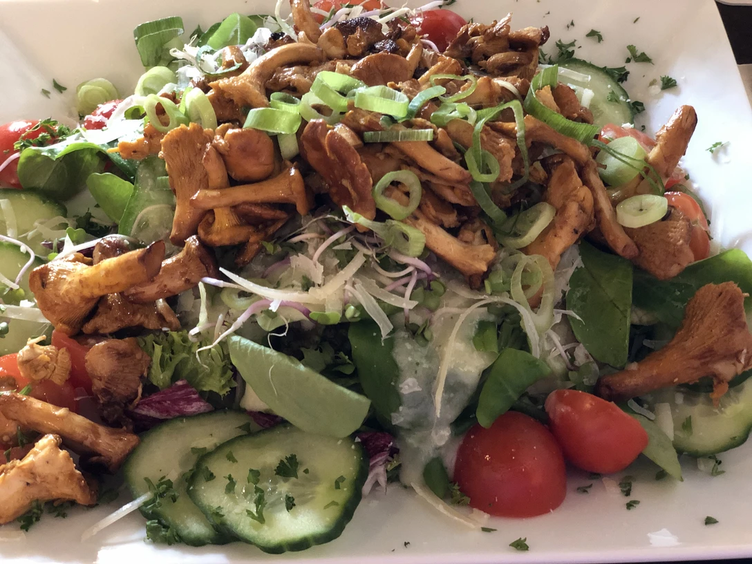 Salat mit Pfifferlingen Bunte Salatmischung mit knackigen Gurken, Kirschtomaten und frischen Pfifferlingen garniert.Colorful salad mix garnished with crunchy cucumbers, cherry tomatoes and fresh chanterelles.Farverig salatblanding garneret med sprøde agurker, cherrytomater og friske kantareller.Kleurrijke salademix gegarneerd met knapperige komkommers, kerstomaatjes en verse cantharellen.