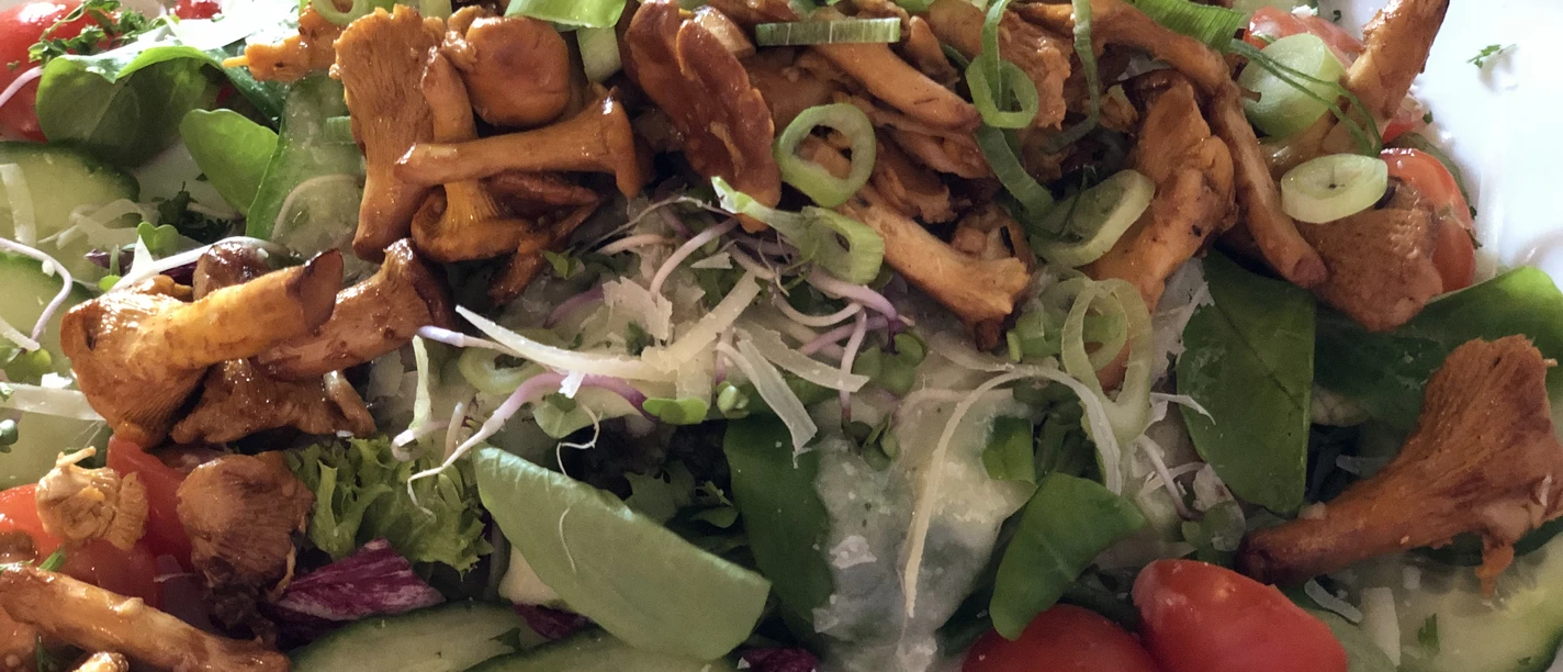 Salat mit Pfifferlingen Bunte Salatmischung mit knackigen Gurken, Kirschtomaten und frischen Pfifferlingen garniert.