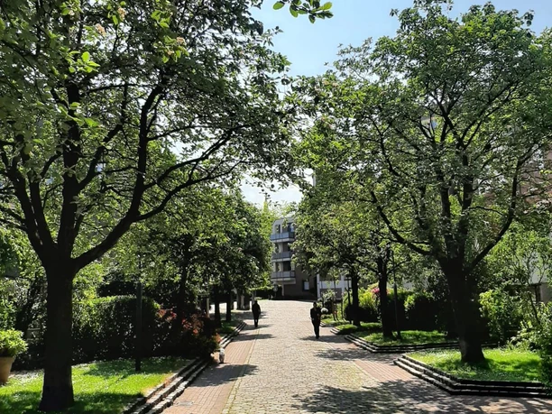 Hermann-Heusch-Platz 2 Ein kopfsteingepflasterter Weg führt durch eine von Bäumen gesäumte Allee, die an einem sonnigen Tag zu einem Gebäude im Hintergrund führt.