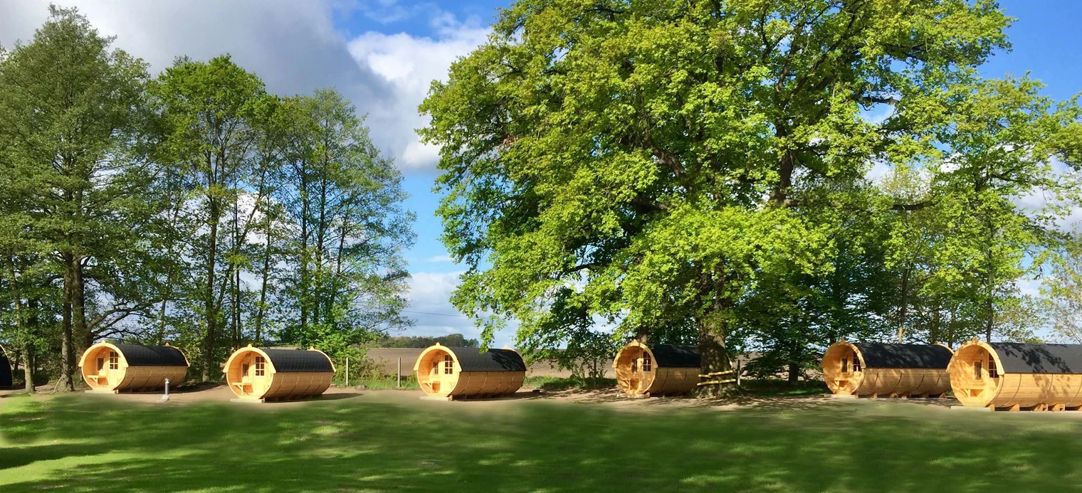 Camp_fässer_wiese_2.jpg Runde Holzhütten stehen auf einer grünen Wiese unter laubbedeckten Bäumen.