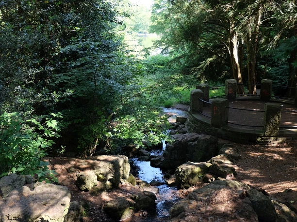 Ein Fluss schlängelt sich durch bewaldetes Gebiet.