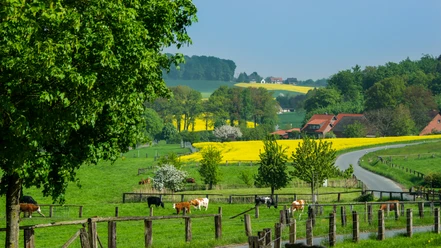 !symbol-landschaft-bauernhof-1920x1080.jpg