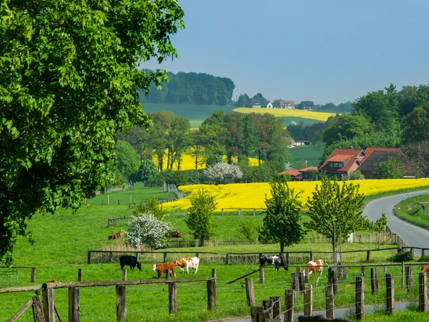 !symbol-landschaft-bauernhof-1920x1080.jpg