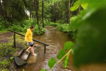 Deutschland, Bayern, Schwaben, Bad Wörishofen, Kneipp Waldweg, Wörthbach, wandern, Wanderweg, kneippen, wohlfühlen, Wald, Kneipp-Kurort, Wassertreten, engl. Germany, Bavaria, Schwaben, Bad Wörishofen, hiking trail Kneipp Waldweg, hike, forest, well being, trees, kneippen,