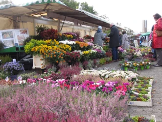 Wochenmarkt.JPG