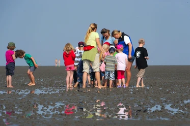 wattführung-mit-kindern-nordseeheilbad-cuxhaven.jpg