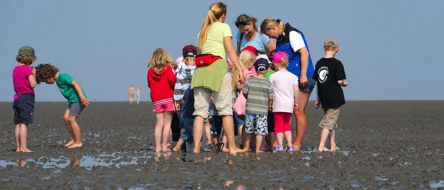 wattführung-mit-kindern-nordseeheilbad-cuxhaven.jpg