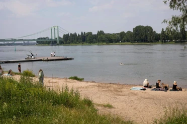 Cologne Riviera The Rhine beach in Rodenkirchen with a view of the green vegetation, the bank and the river offers a relaxed atmosphere. In the background, a bridge stretches across the river while people relax or stroll along the banks.