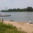 Kölsche Riviera Der Rheinstrand in Rodenkirchen mit Blick auf die grüne Vegetation, das Ufer und den Fluss bietet eine entspannte Atmosphäre. Im Hintergrund erstreckt sich eine Brücke über den Fluss, während Menschen am Ufer entspannen oder spazieren gehen.The Rhine beach in Rodenkirchen with a view of the green vegetation, the bank and the river offers a relaxed atmosphere. In the background, a bridge stretches across the river while people relax or stroll along the banks.