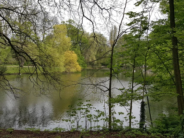 Weiher in einer Parkanlage umgeben von Bäumen.
