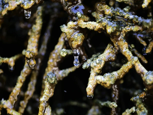 072HR - Bad Nauheim - Gradierwerk Schwarzdorn.JPG