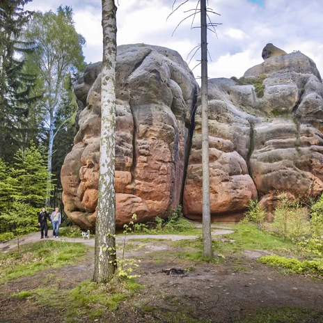 Bild2_Obelausitz_alt u╠êberarbeitet_©_Katja_Fouad_Vollmer.jpg