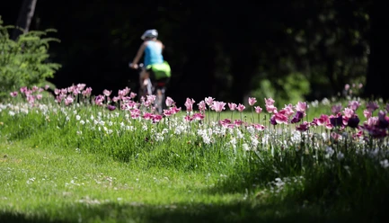 054HR - Bad Vilbel - Kurpark.JPG