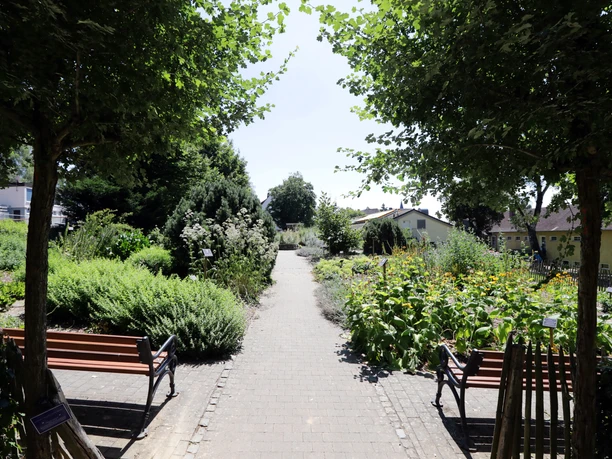 Kneipp-Kräutergarten Bad Camberg - Kneipp-Kräutergarten