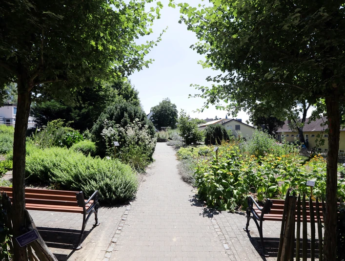 Kneipp-Kräutergarten Bad Camberg - Kneipp-Kräutergarten