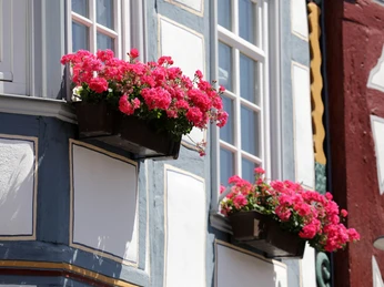 052HR - Bad Camberg - Stadtmitte.JPG