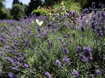 Bad Camberg - Kneipp-Rundweg