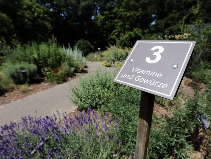 Bad Camberg - Kneipp-Kräutergarten