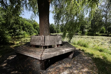 040HR - Herbstein - Seerosenteich.JPG