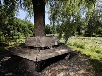 040HR - Herbstein - Seerosenteich.JPG