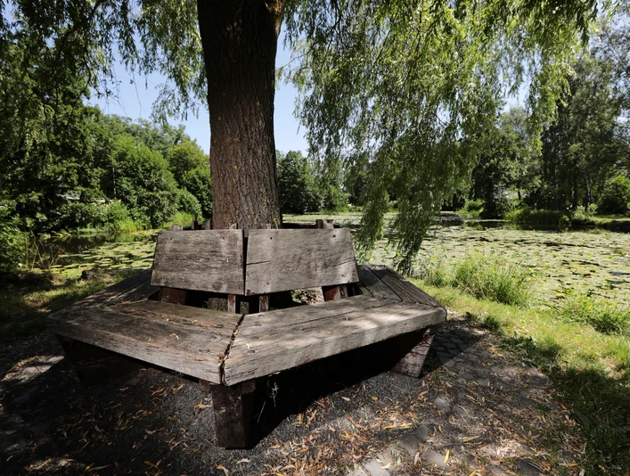 040HR - Herbstein - Seerosenteich.JPG