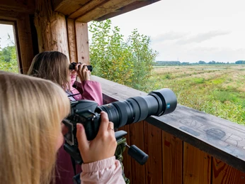 Naturbeobachtungsstation Ausblick